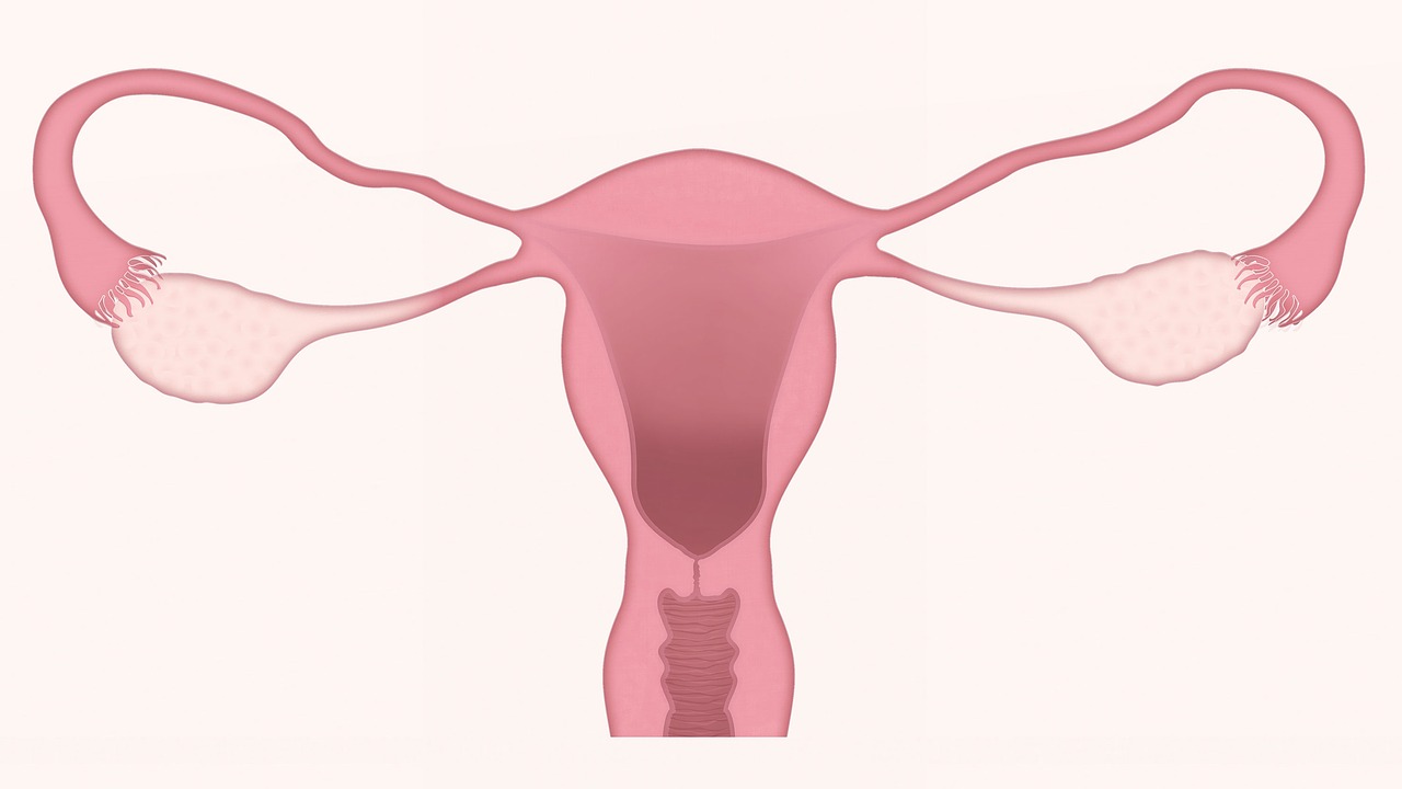 understanding intra-uterine device contraception facts myths female reproductive health